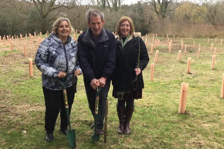 Trees planted at Petersfield Cemetery
