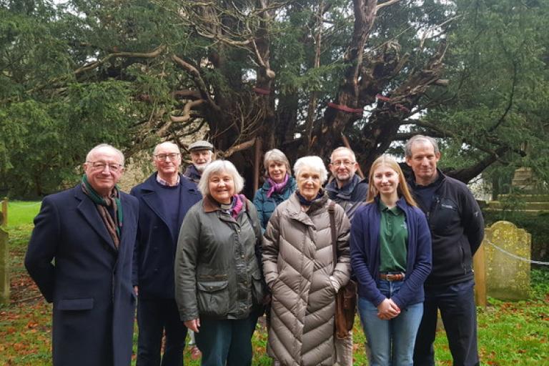 EHDC councillors help villagers save ancient yew tree for future generations