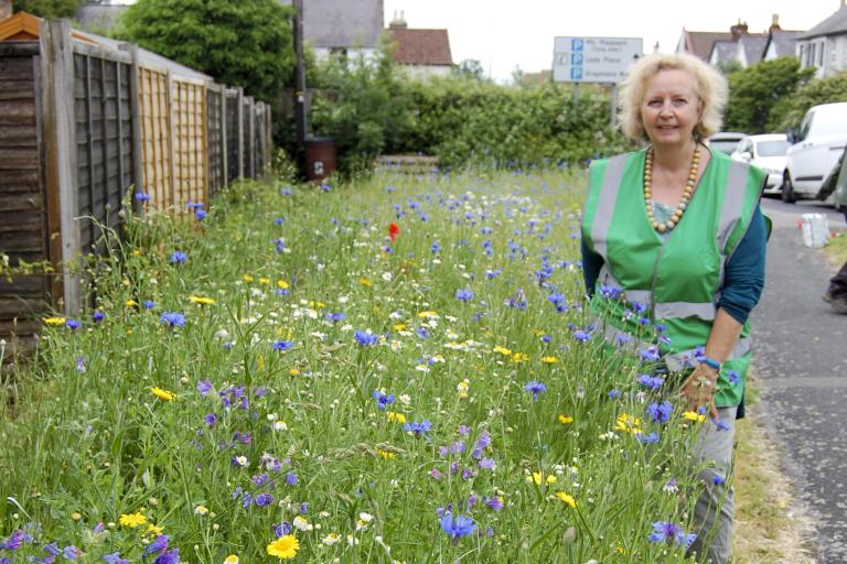 Cllr Ginny Boxall at the community garden