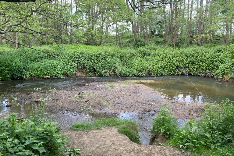 Rotherlands Nature Reserve Credit Western Sussex Rivers Trust